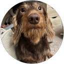 Fruzsina Góczán profile picture